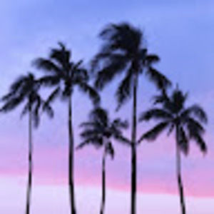 Meet your Posher, Anya